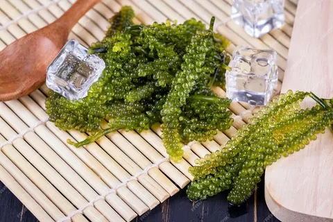 تصویر 2 از خاویار سبز ممتاز دانه درخشان تشریفاتی